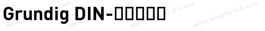Grundig DIN字体转换